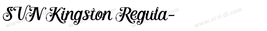 SVN Kingston Regula字体转换